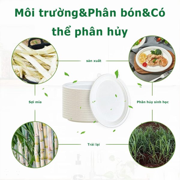 Đĩa bầu dục đựng mì