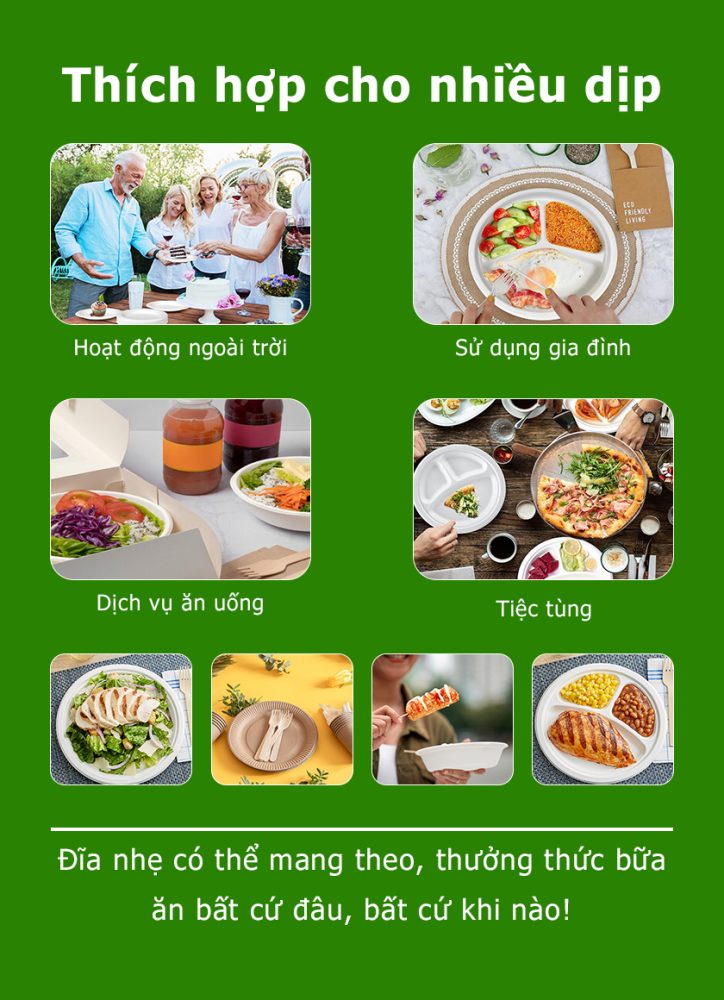 Đĩa mía giá gốc