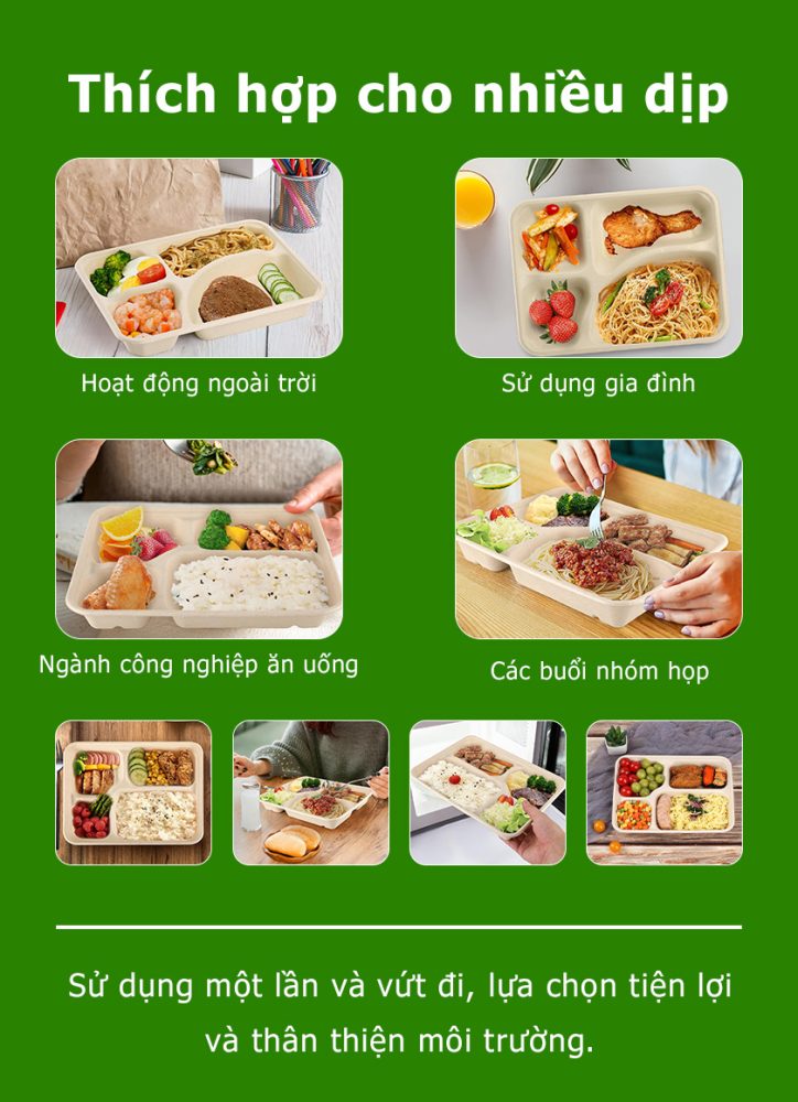 Hộp 4 ngăn bã mía