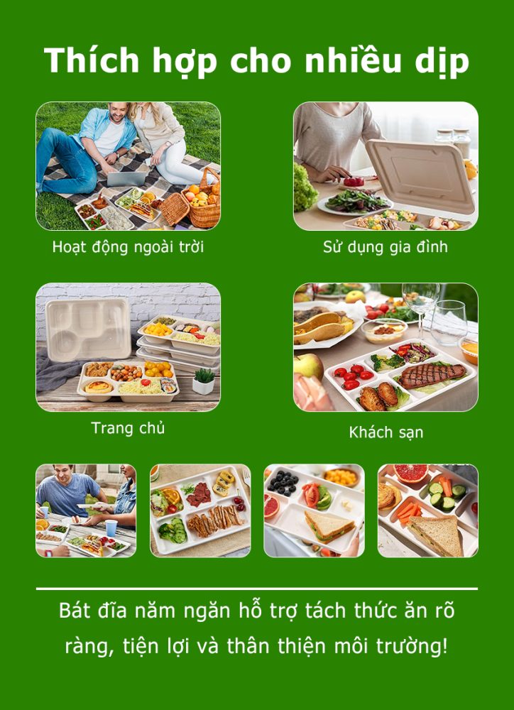 Hộp buffet 6 ngăn