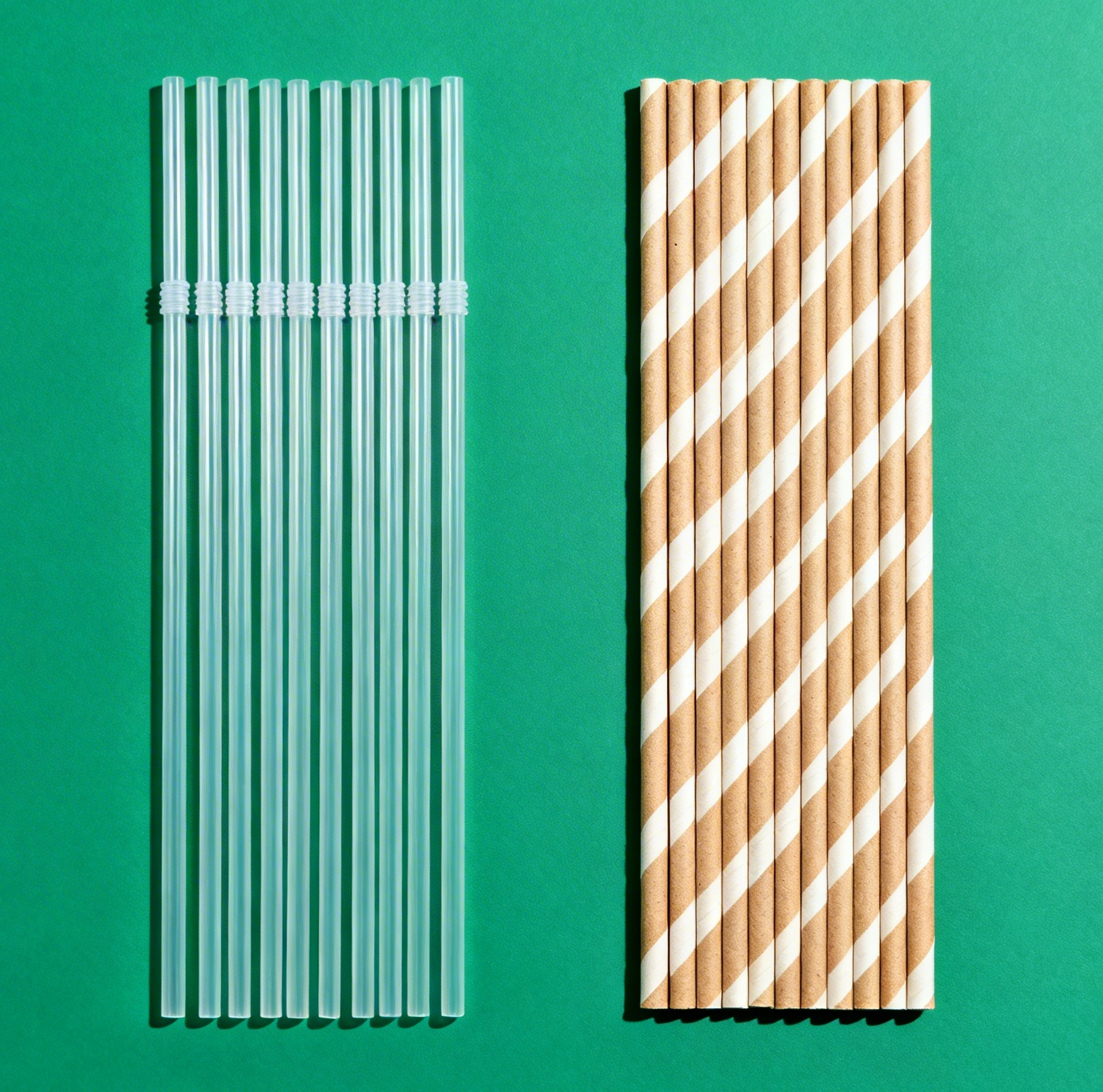 thay thế nhựa dùng một lần